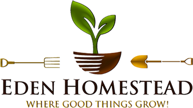 Eden Homestead, where good things grow!